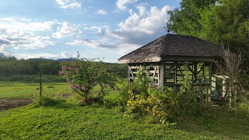 Domaine Saint Loup