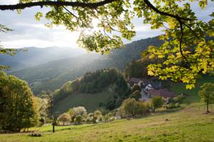 Logis Auberge du Mehrbächel