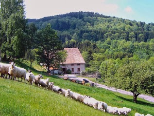 Ferme auberge 