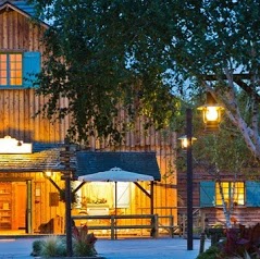 Disney's Davy Crockett Ranch
