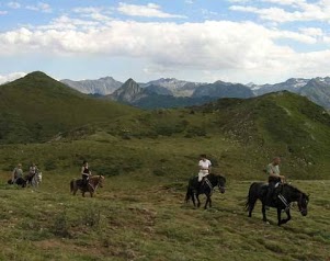 Horse Farm Du Soularac