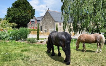 Gîtes vacances à kermorin - Plouhinec