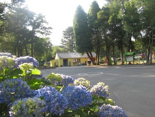 Camping Les Myrtilles