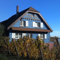 Domaine BOHN Vins et chambres d'hôtes