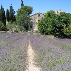 Ardèche Ferienhaus