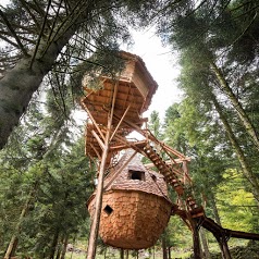 La Clairière aux Cabanes