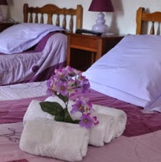 chambre d´hotes saint malo