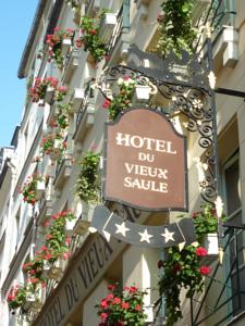 Hôtel du Vieux Saule