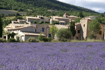 Chambres d'Hôtes Bleu Or