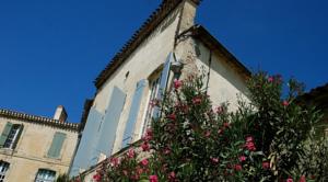 Les Hortensias du Rempart