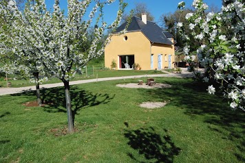 Yellow Home 12 Chambres d'hôtes