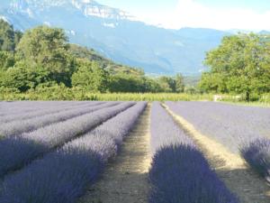 L'Aubergerie