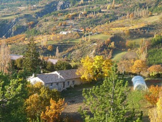 Ferme de Pierre Vieille, camping à la ferme et randonnées avec ânes