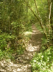 Moulin des Baronnies