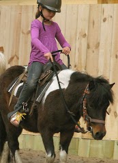 Centre d'équitation western 