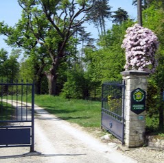 Chambres d'hôtes & Gîte Jonzac - Les Galards