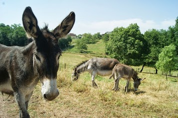 Le Domaine de Tamara