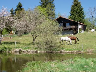 Gîte Mille Fleurs