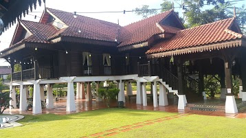 Lata pulai