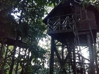 Permai Rainforest Resort