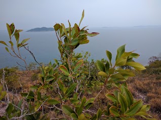 The Peak Of Rawa Island