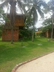 The Roots Eco Resort