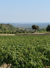 Château Sainte Eulalie