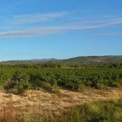 Château Massamier La Mignarde