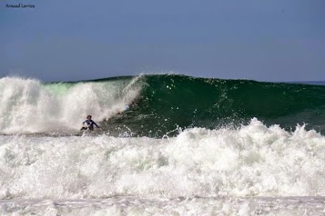 Puravida Surf Shop