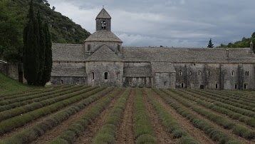 Abbaye Notre Dame de Sénanque