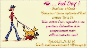 Aïe ... Feel Dog ! - Educateur Canin - tarn 81