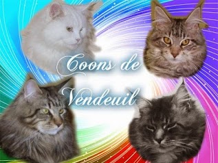 Coons de vendeuil