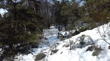 Auberge et Gîtes Les Bast