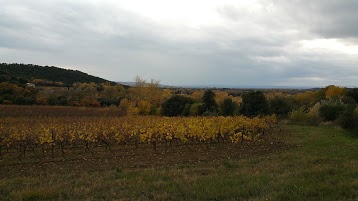 DOMAINE LES ASSEYRAS