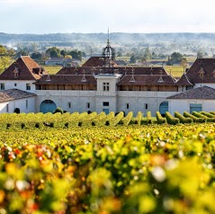 Château Angélus