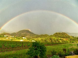 Clairette de die Salabelle GAEC