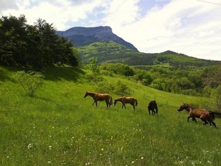 Equestrian Center Les Cavalcades De L'obiou