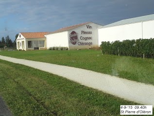 Vignoble d'Oléron Tardet-Pradere