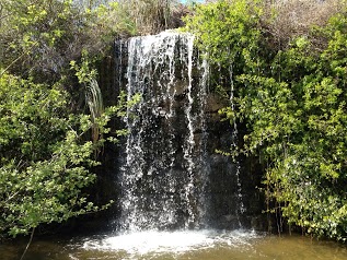 La Vallée des Singes