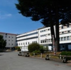 Lycée Carriat