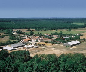 Club Hippique et Poney Club de la Forêt de Moulière