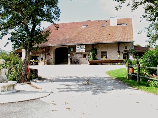 Earl Ferme Equestre Du Pont Du Diable