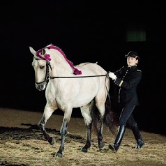 Cadre noir de Saumur - Ecole Nationale d'Equitation