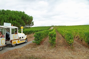 Association Chalonnes par Vignes et Vallées