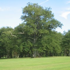 Golf de Nançay Sologne