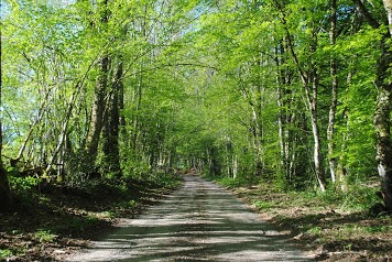 Morvan Terroirs