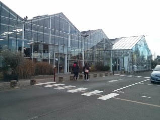 Jardinerie Truffaut Orléans
