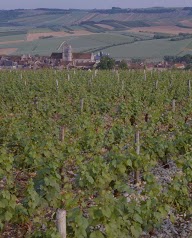 Domaine Ghislaine et Jean-Hugues Goisot