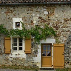 Domaine de Chabrot