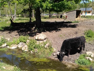 Parc de l'Emprunt